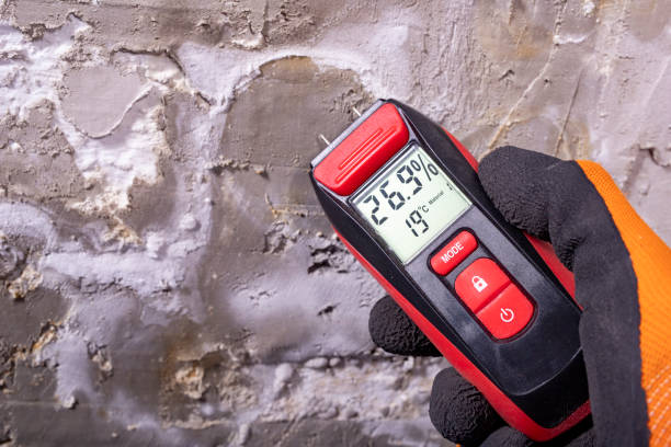 Best Basement Mold Remediation in Timberwood Park, TX